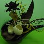 Floraria Noblesse Braila