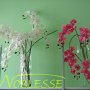 Floraria Noblesse Braila
