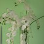Floraria Noblesse Braila